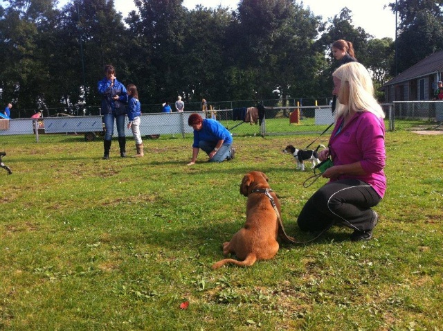 Guusje 1e puppy les 22-09-2012 063.jpg